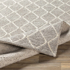 Hindley Area Rug - Clearance - Ornate Home