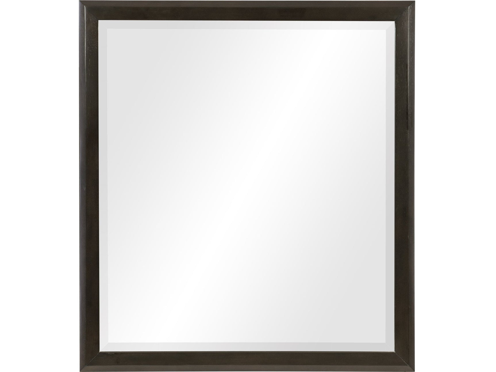 Hodgin Dark Charcoal Mirror - Ornate Home