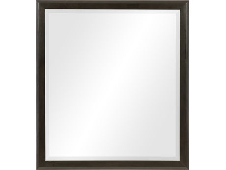 Hodgin Dark Charcoal Mirror - Ornate Home