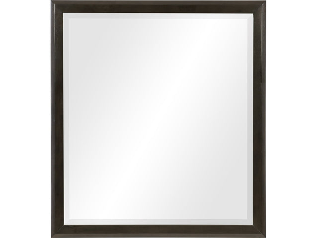 Hodgin Dark Charcoal Mirror - Ornate Home