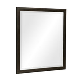 Hodgin Dark Charcoal Mirror - Ornate Home