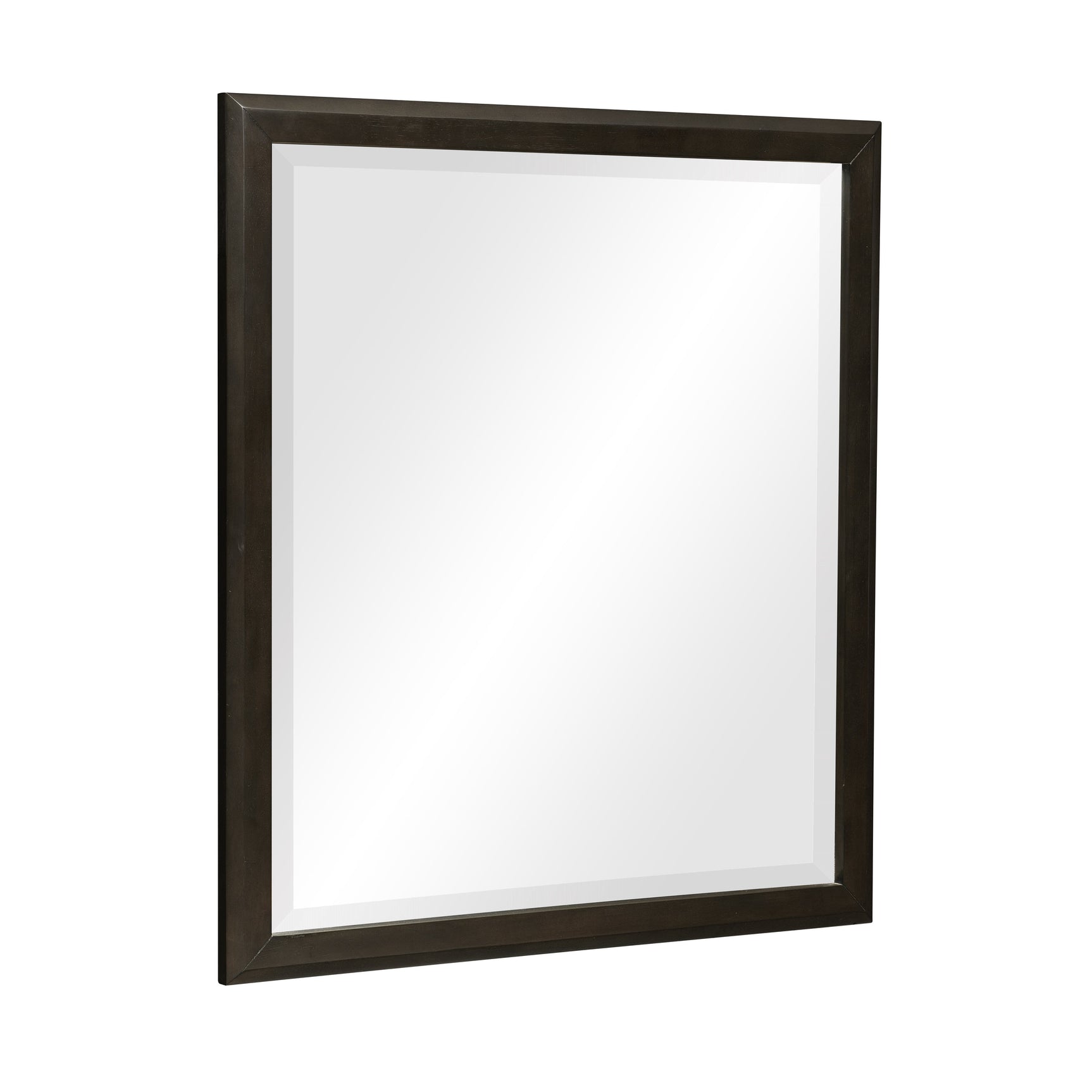 Hodgin Dark Charcoal Mirror - Ornate Home