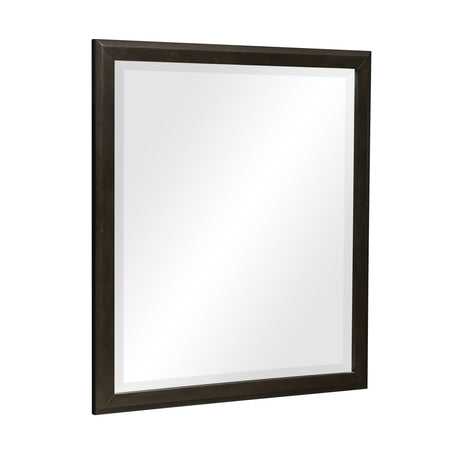 Hodgin Dark Charcoal Mirror - Ornate Home