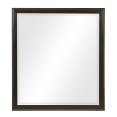 Hodgin Dark Charcoal Mirror - Ornate Home