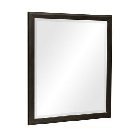 Hodgin Dark Charcoal Mirror - Ornate Home