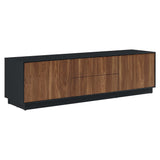 Holden Black/Walnut 63" TV Stand - Ornate Home