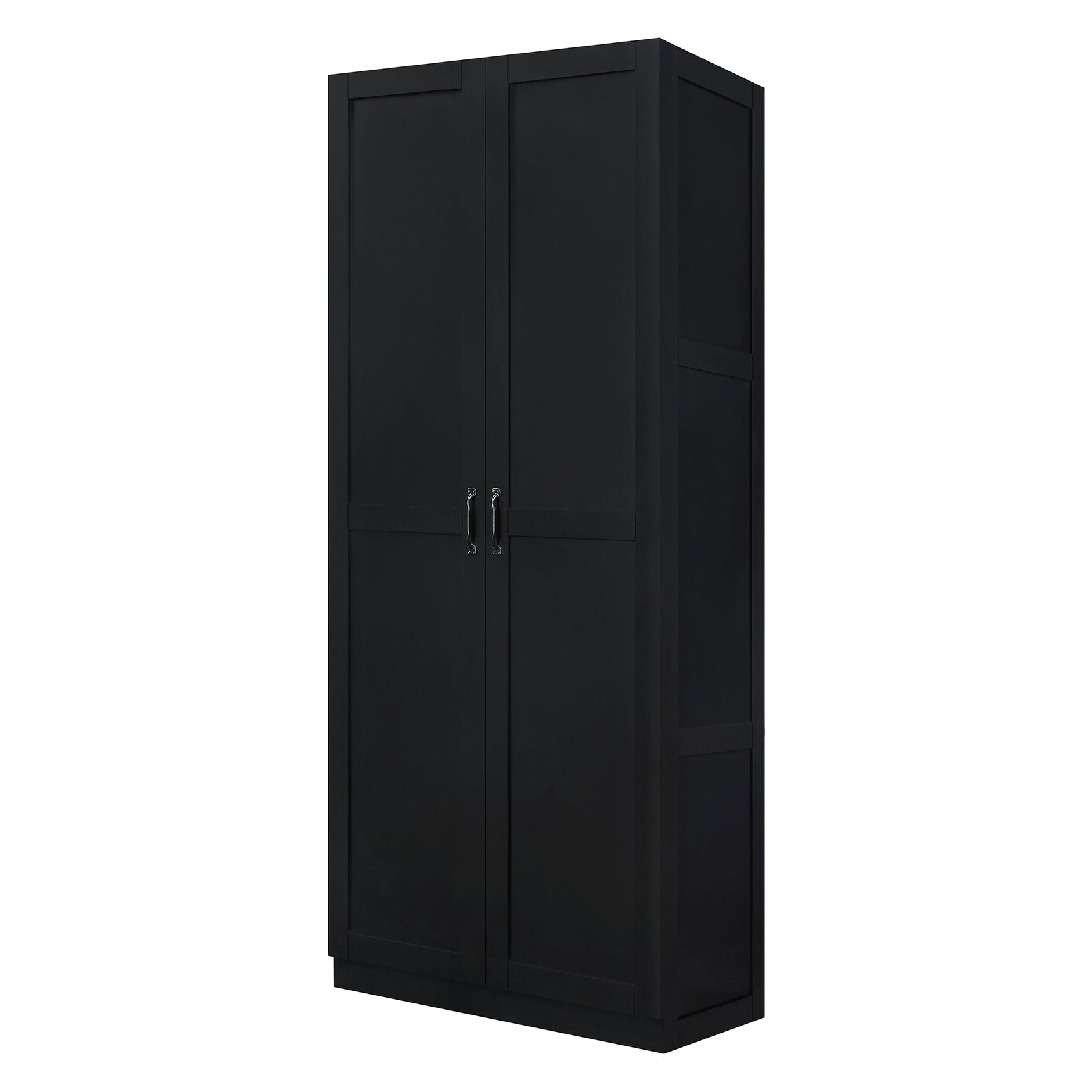 Hopkins Storage Closet 2.0 in Black - Ornate Home