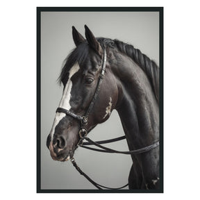 Horse Black Photography 48x72 - Ornate Home