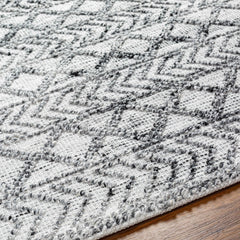 Hosa Area Rug - Clearance - Ornate Home