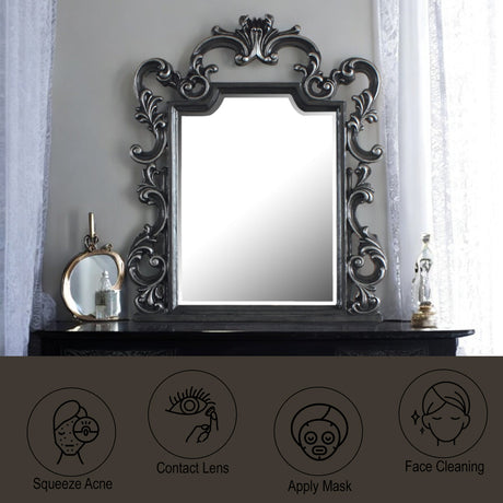 House Delphine Mirror in Charcoal - Ornate Home