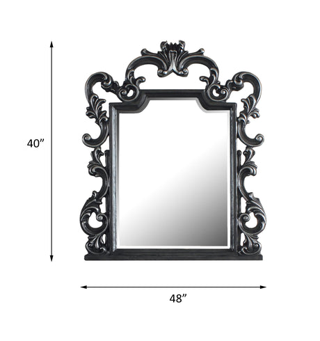 House Delphine Mirror in Charcoal - Ornate Home