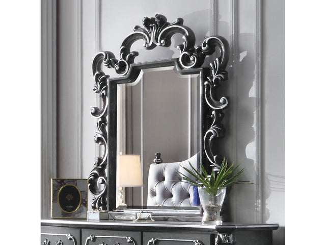House Delphine Mirror in Charcoal - Ornate Home