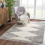 Howth Area Rug - Clearance - Ornate Home