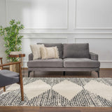 Howth Area Rug - Ornate Home