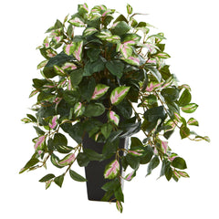 Hoya Artificial Plant in Black Vase - Ornate Home