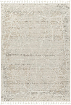 Huong Area Rug - Clearance - Ornate Home