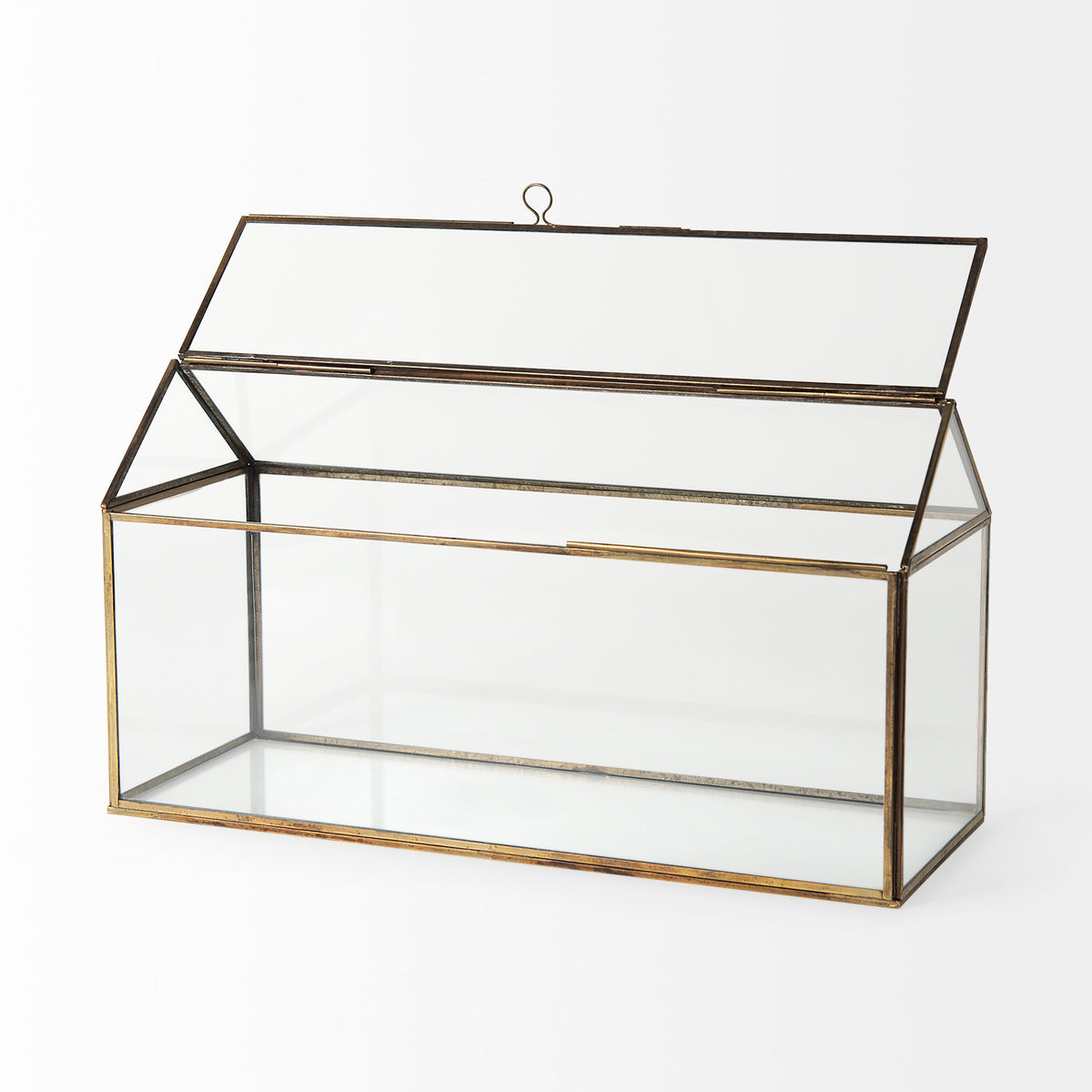 Hutt Gold Glass Terrarium Box - Ornate Home