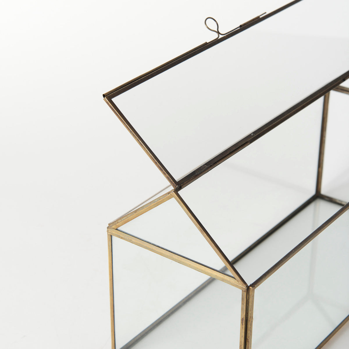 Hutt Gold Glass Terrarium Box - Ornate Home