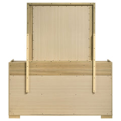 Hyland Natural/White  Dresser with Mirror - Ornate Home
