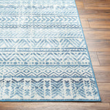 Ianna Arctic Stone Washable Area Rug - Clearance - Ornate Home