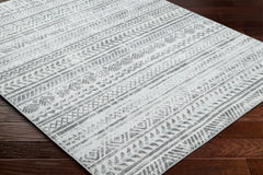 Ianna Light Gray Washable Area Rug - Clearance - Ornate Home