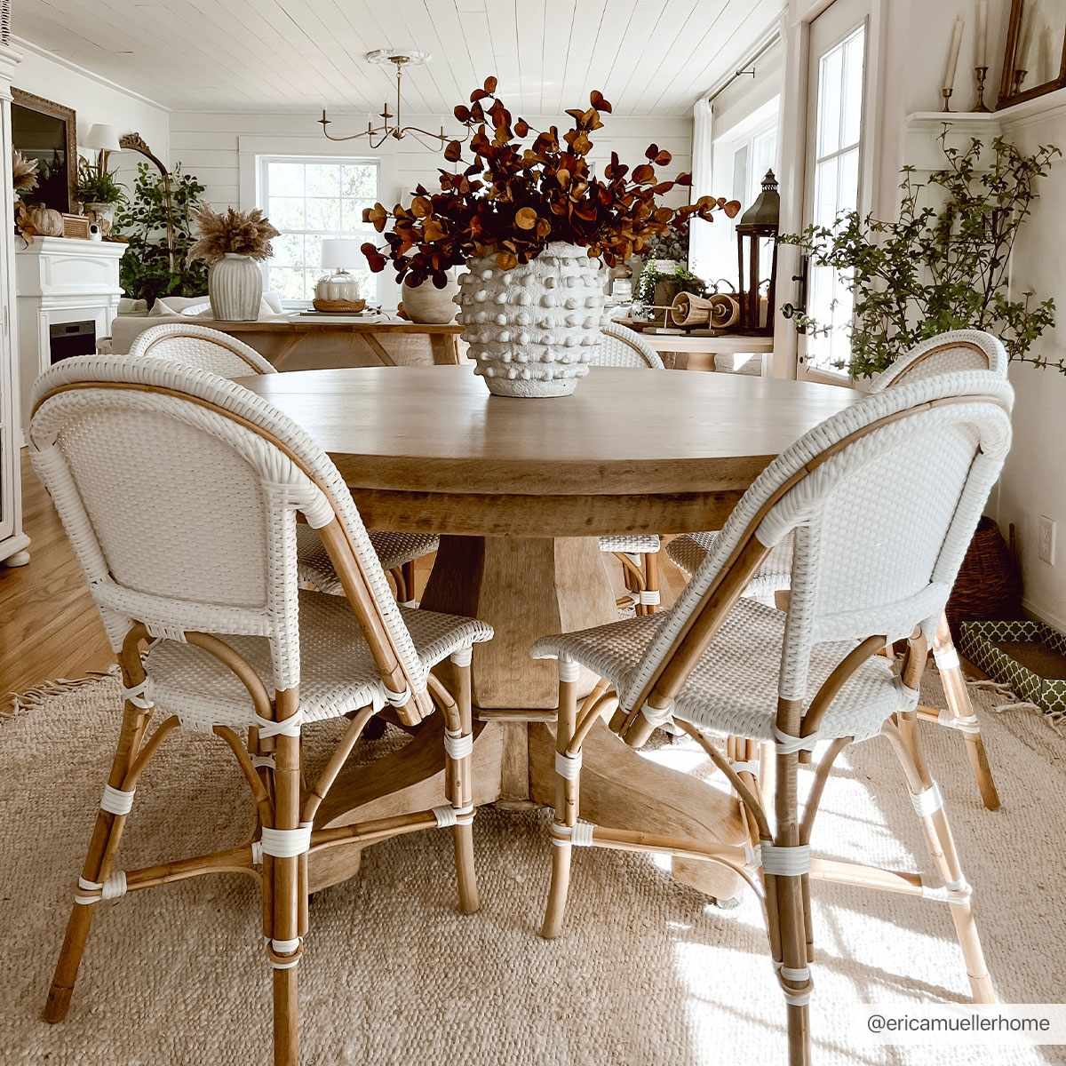 Iantha Jute Rug - Ornate Home