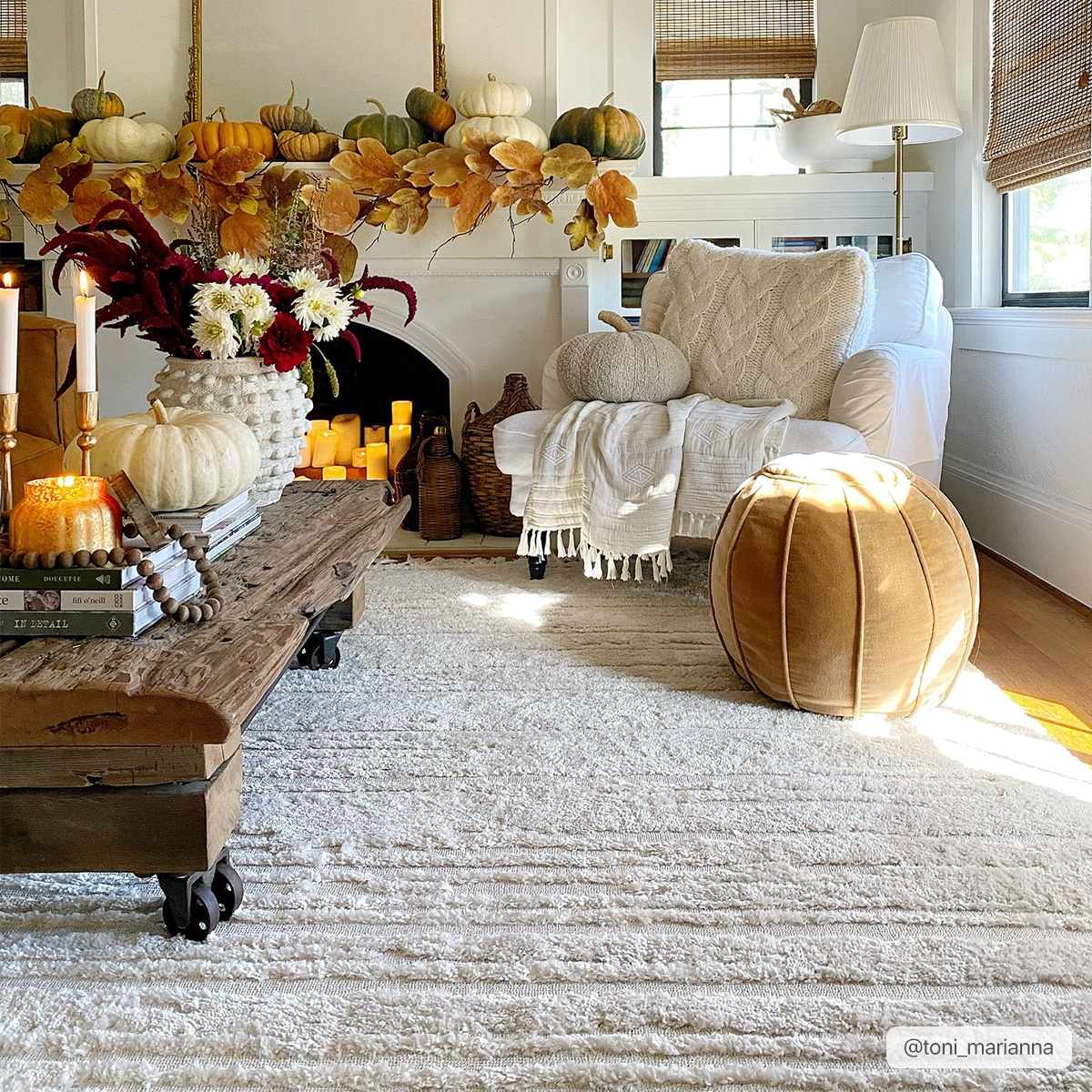 Ibarra Textured Ivory High/Low Pile Rug with Tassels - Ornate Home