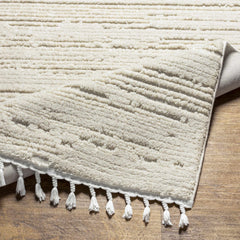 Ibarra Textured Ivory High/Low Pile Rug with Tassels - Ornate Home