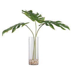 Ibero Green Split Leaf Palm - Ornate Home