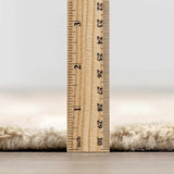 Idaho Broken-Striped Beige Area Rug | Our PNW Home X Livabliss - Ornate Home