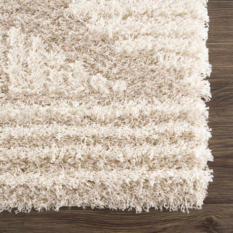 Igor Shag Area Rug - Ornate Home