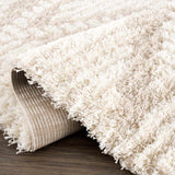 Igor Shag Area Rug - Ornate Home