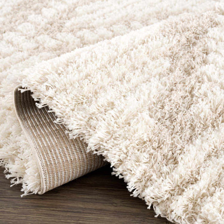 Igor Shag Area Rug - Ornate Home