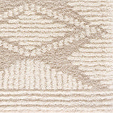 Igor Shag Area Rug - Ornate Home