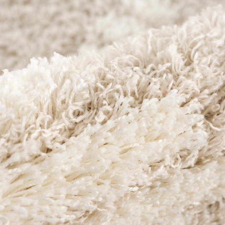 Igor Shag Area Rug - Ornate Home