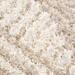 Igor Shag Area Rug - Ornate Home