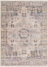Iiona Area Rug - Clearance - Ornate Home