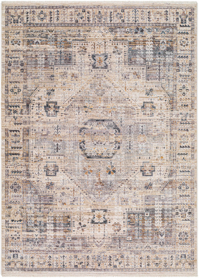 Iiona Area Rug - Clearance - Ornate Home
