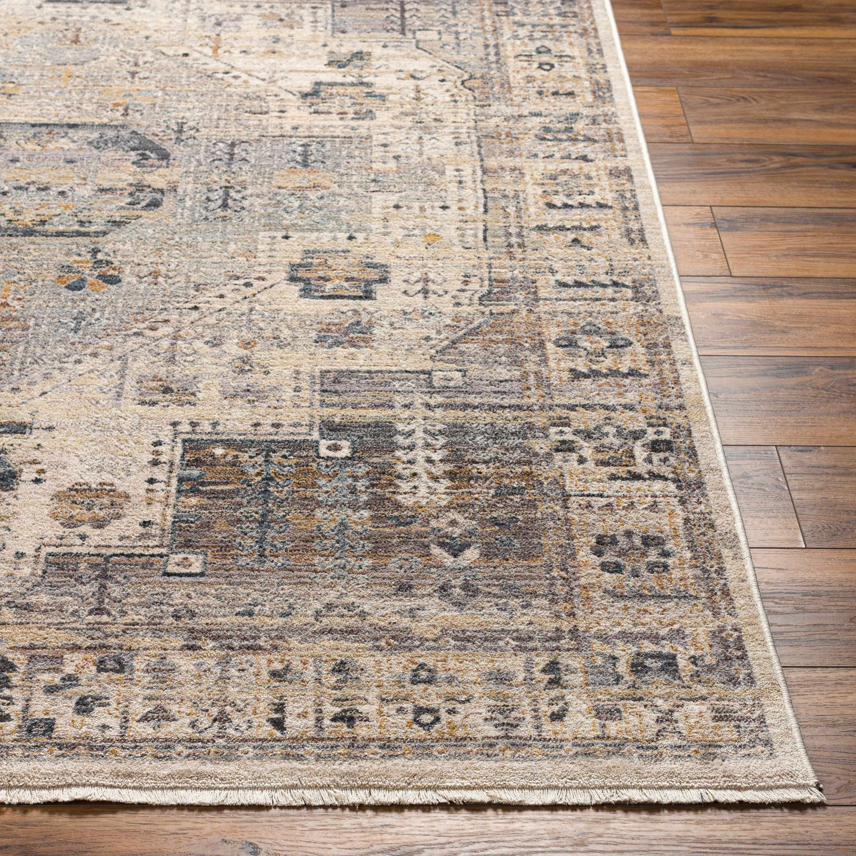 Iiona Area Rug - Clearance - Ornate Home