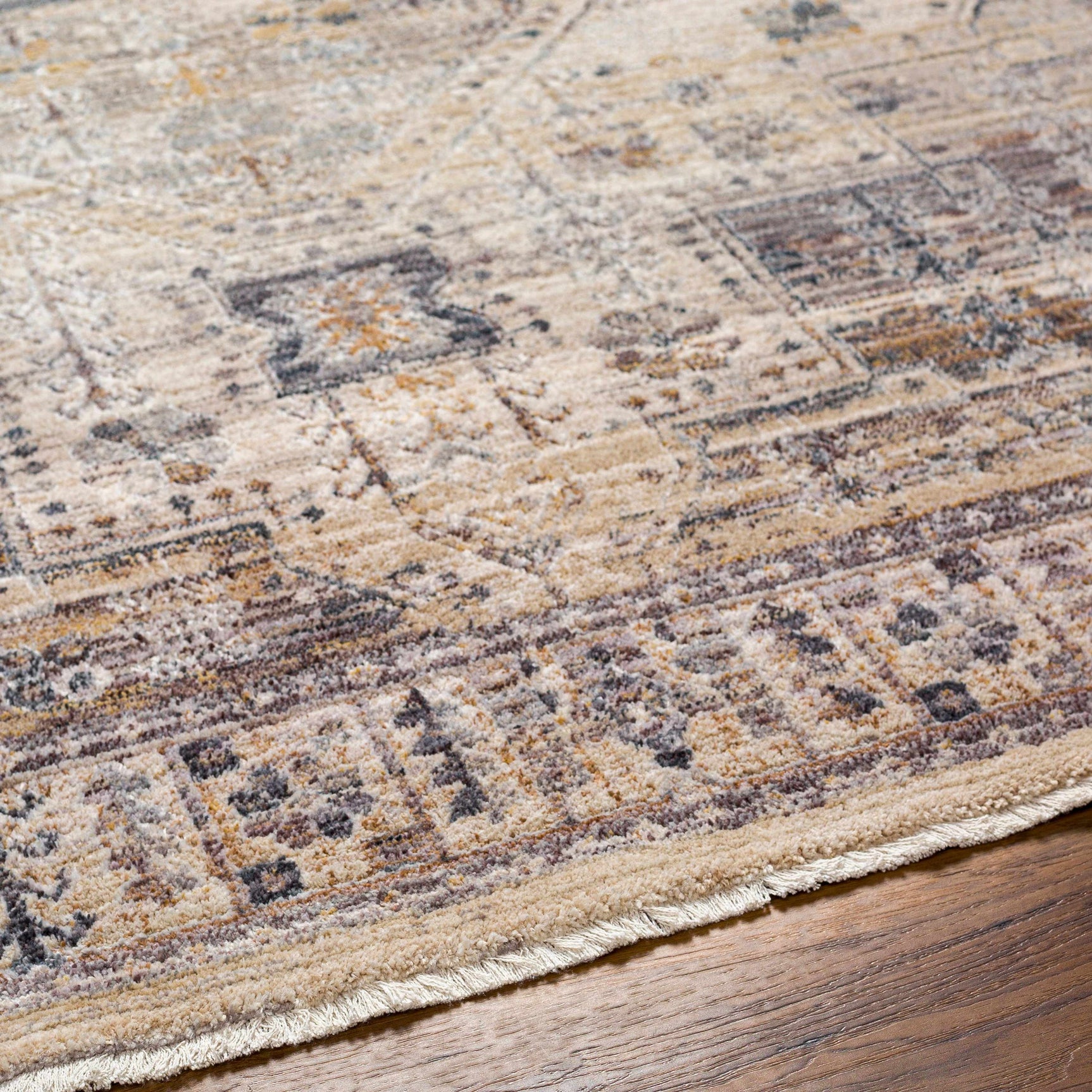 Iiona Area Rug - Clearance - Ornate Home