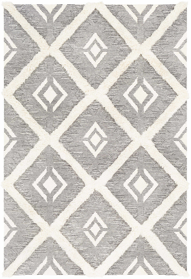 Imnaha Area Rug - Clearance - Ornate Home