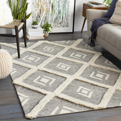 Imnaha Area Rug - Clearance - Ornate Home