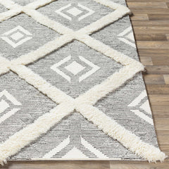 Imnaha Area Rug - Clearance - Ornate Home