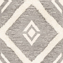 Imnaha Area Rug - Clearance - Ornate Home