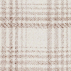 Inara Light Brown Plaid Hand Woven Area Rug - Ornate Home