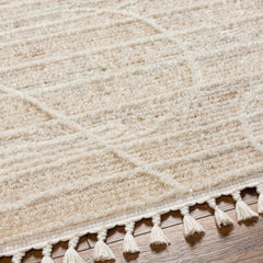 Inaya Area Rug - Clearance - Ornate Home