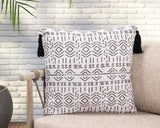 Indoor/Outdoor Zambia Natural 22x22 Throw Pillow (Set of 2) - Ornate Home