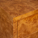 Indus Woodtone 2 Drawer Burl Chest - Ornate Home
