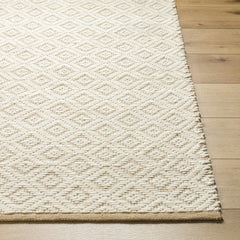 Irela Area Rug - Clearance - Ornate Home