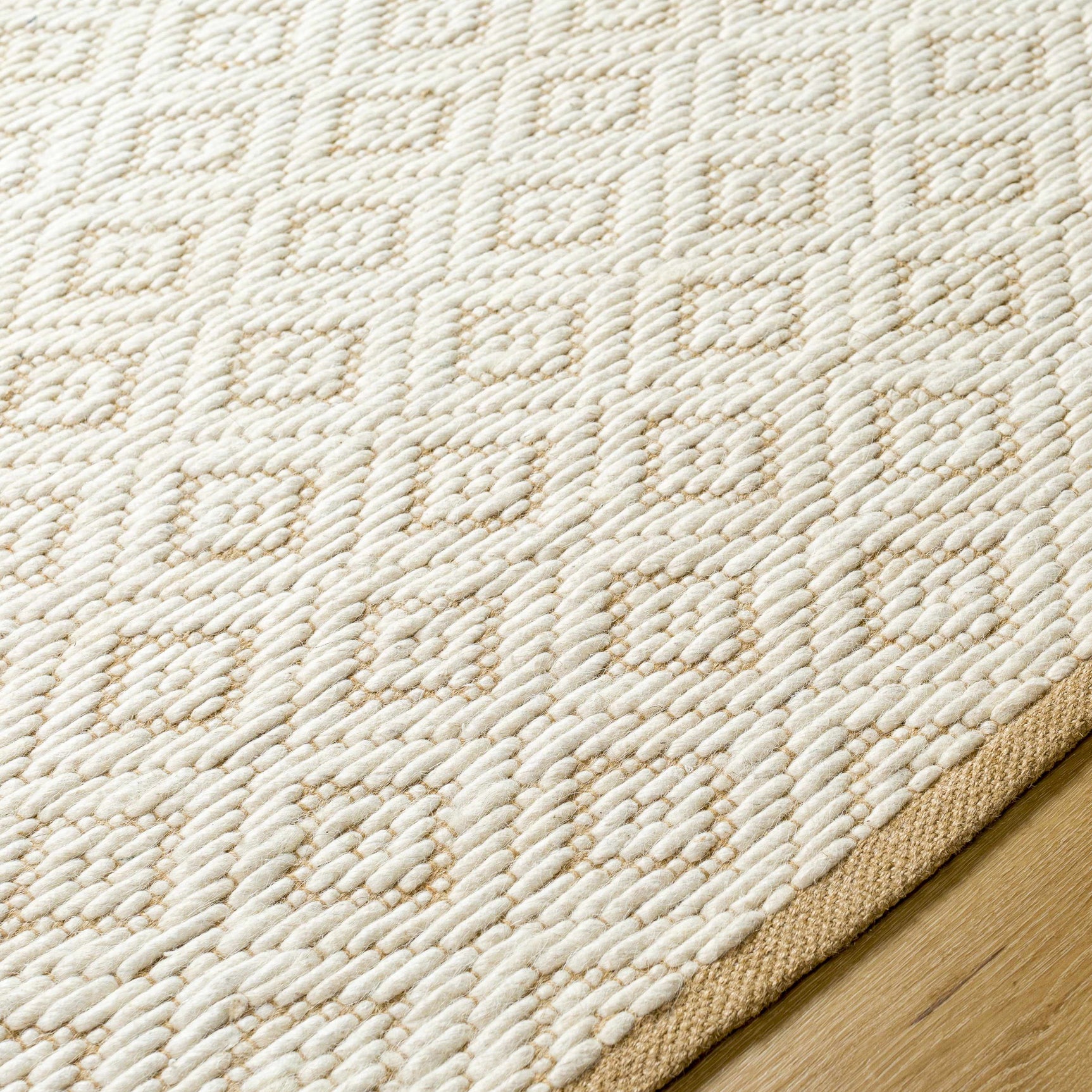 Irela Area Rug - Clearance - Ornate Home